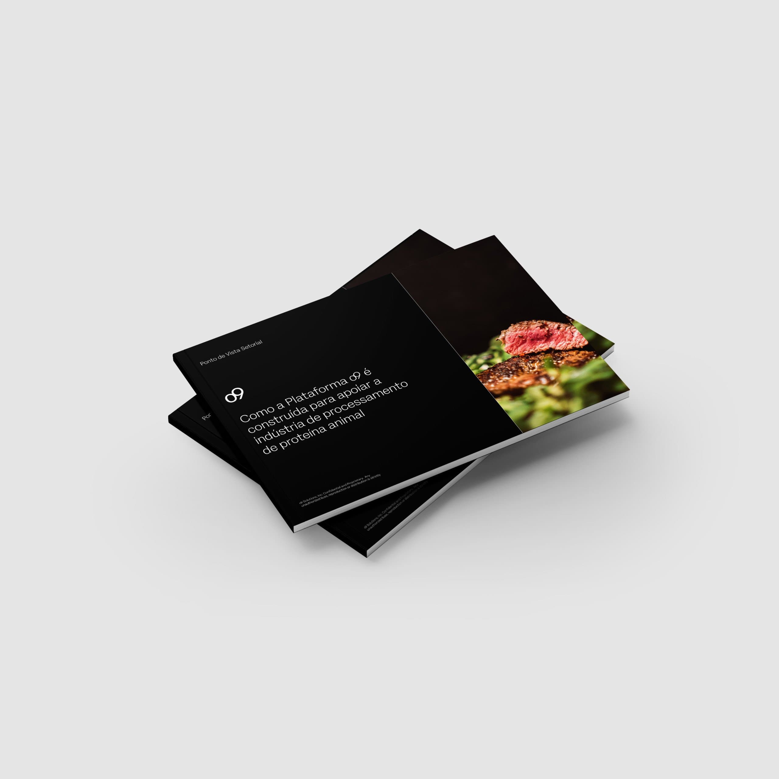 Meat processing pov latam mockup