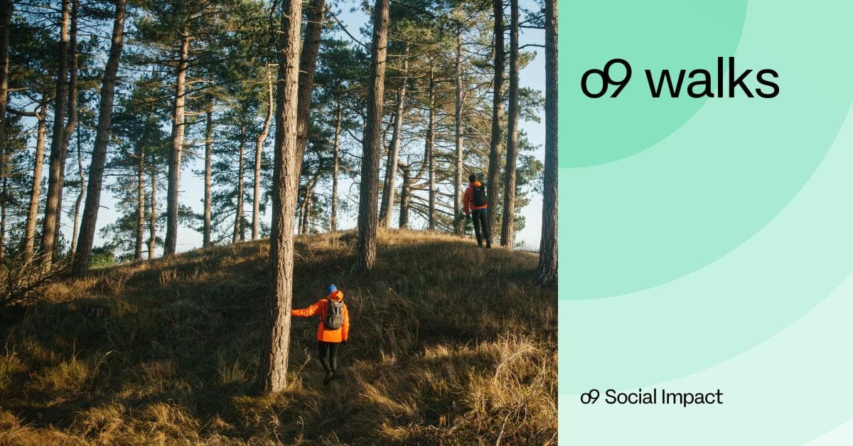 People walking in forest