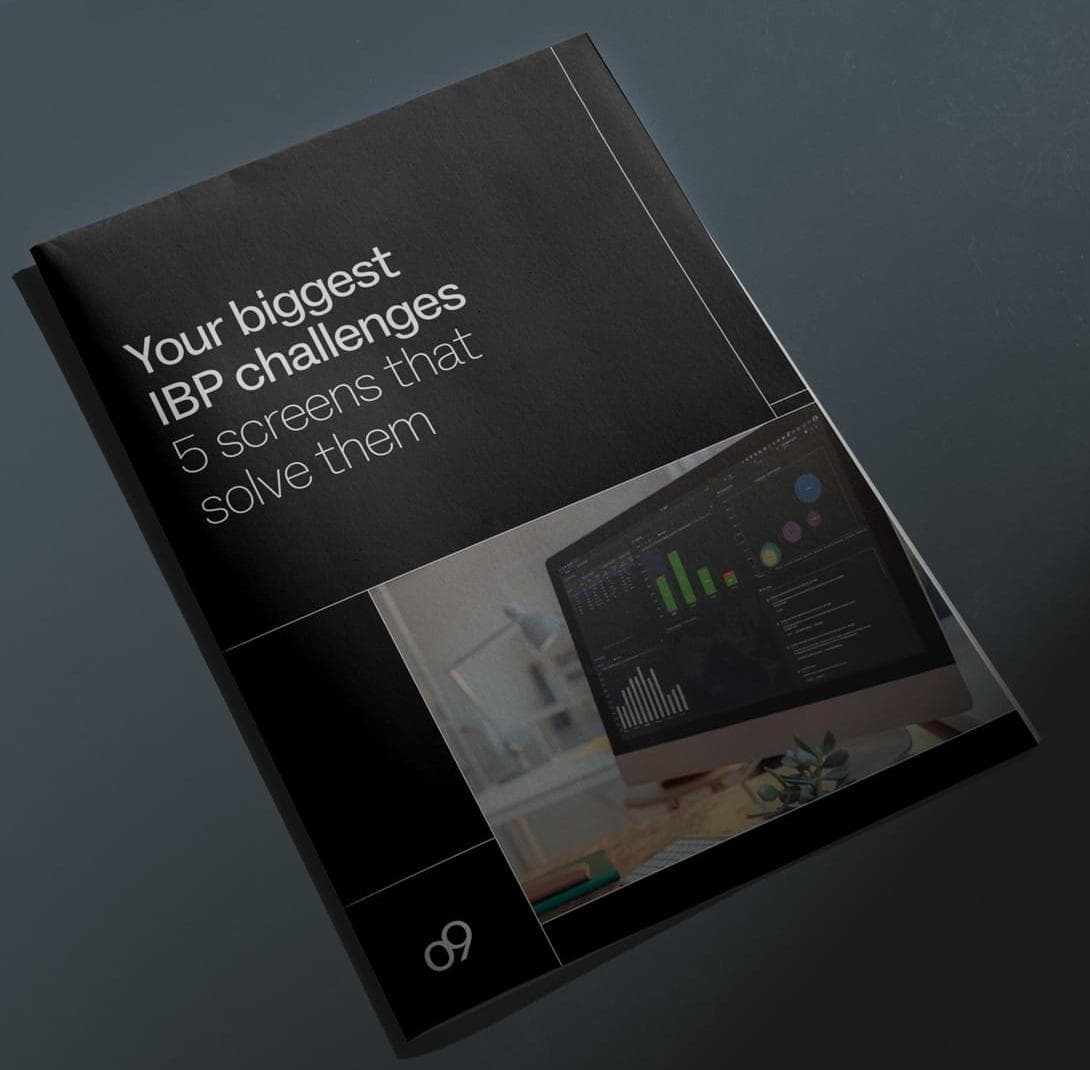 o9 e book ibp mockup