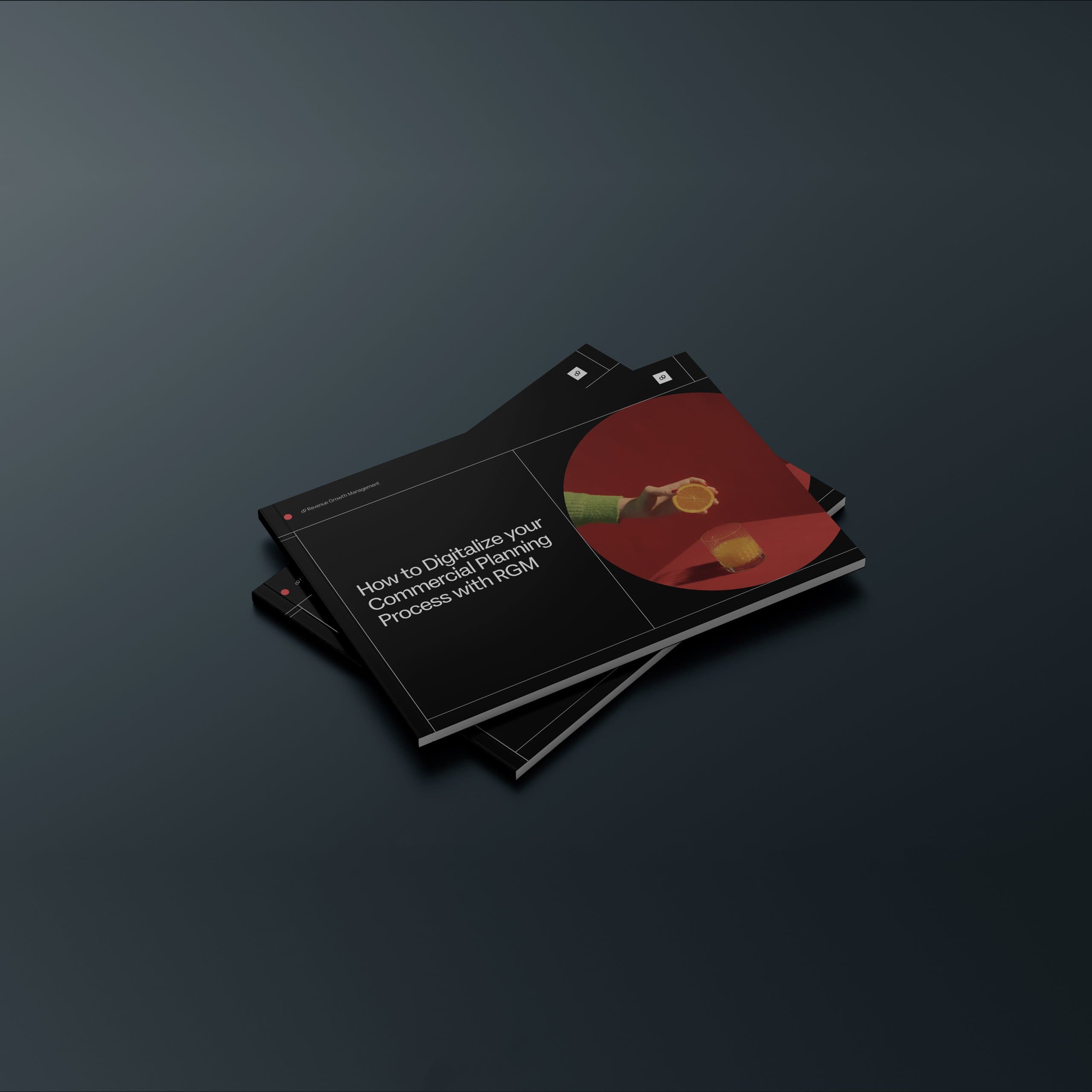 O9 whitepaper rgm core 2 mockup