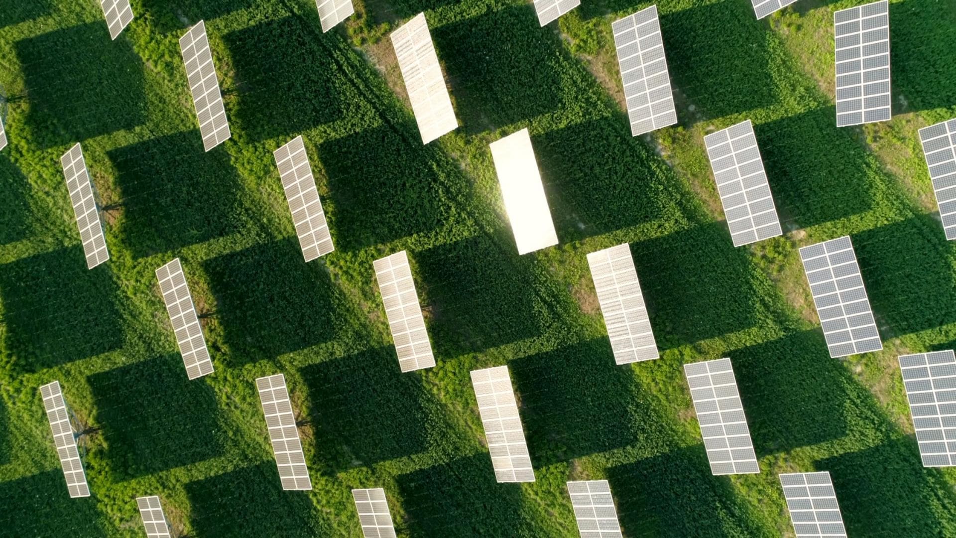 Sustainability is at the top of the agenda for companies